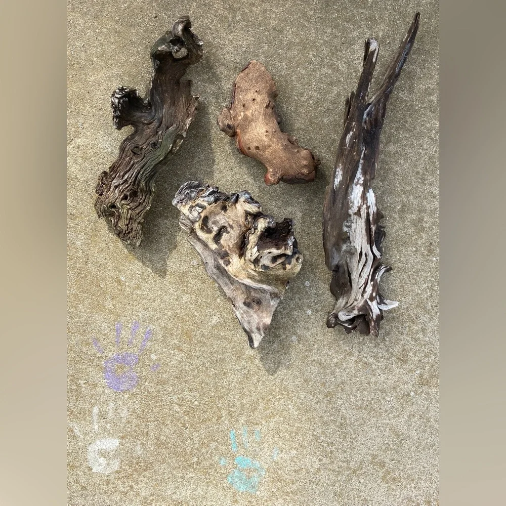 Natural Wood Decorum(4 Pieces)-Crafting, Outdoors, Live Pets, Aquarium/Terrarium